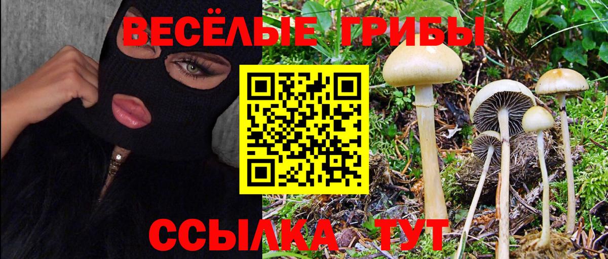 Шарыпово  Галлюциногенные грибы Psilocybine cubensis  как найти наркотики  Вход с VPN 