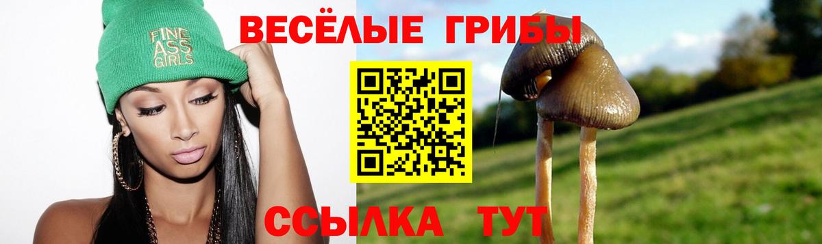 Галлюциногенные грибы мухоморы Шарыпово